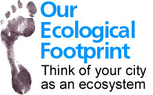 ecofoot2.jpg (15576 bytes)